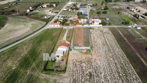 Terreno Rústico em Foros de Benfica do Ribatejo