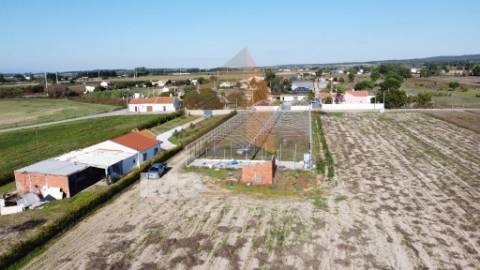 Terreno Rústico em Foros de Benfica do Ribatejo