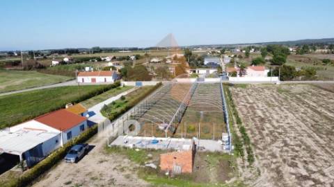 Terreno Rústico em Foros de Benfica do Ribatejo