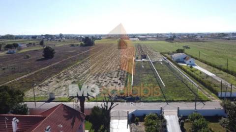 Terreno Rústico em Foros de Benfica do Ribatejo