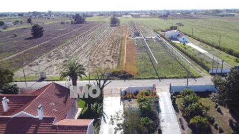 Terreno Rústico em Foros de Benfica do Ribatejo