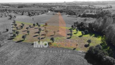 Terreno Situado na Azoia de Baixo