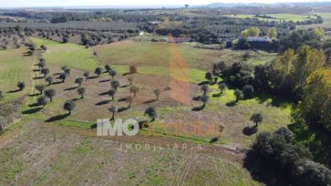 Terreno Situado na Azoia de Baixo