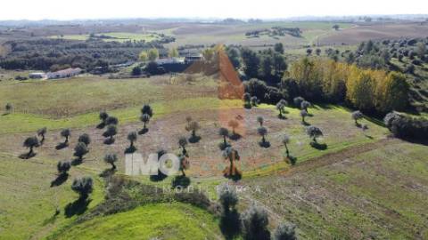 Terreno Situado na Azoia de Baixo