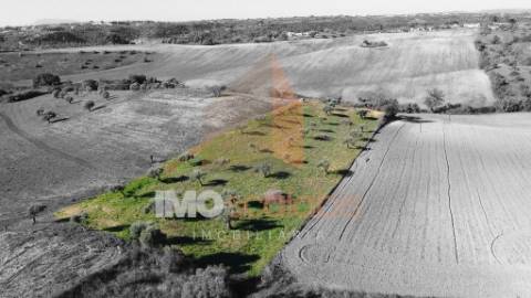 Terreno Situado em D. Belida, com 7400m² 