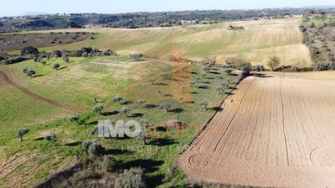 Terreno Situado em D. Belida, com 7400m² 