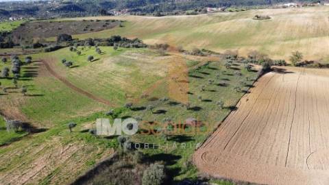 Terreno Situado em D. Belida, com 7400m² 