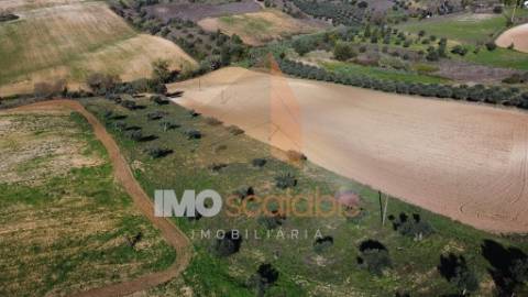 Terreno Situado em D. Belida, com 7400m² 