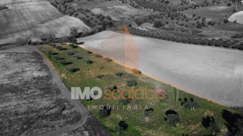 Terreno Situado em D. Belida, com 7400m² 