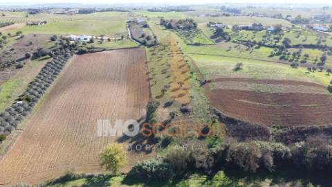 Terreno Situado em D. Belida, com 7400m² 