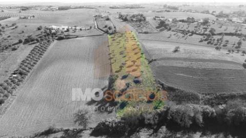 Terreno Situado em D. Belida, com 7400m² 