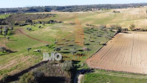 Terreno Situado em D. Belida, com 7400m² 