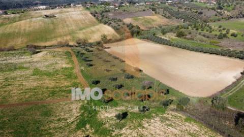 Terreno Situado em D. Belida, com 7400m² 