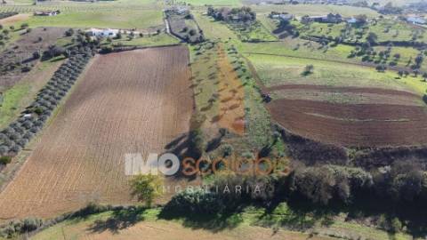 Terreno Situado em D. Belida, com 7400m² 