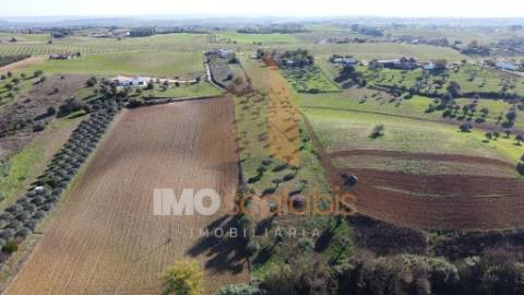 Terreno Situado em D. Belida, com 7400m² 