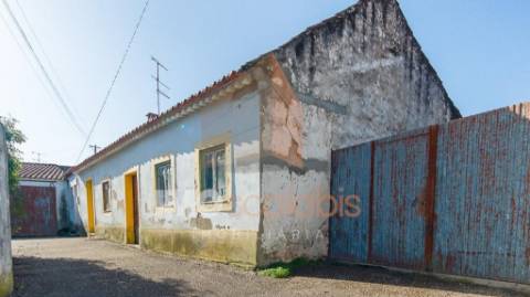 Excelente Oportunidade em Tremês - Conjunto de 2 Moradias + Terreno Urbano 