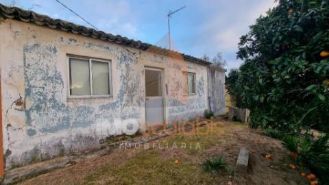 Moradia Térrea T3 – Carregueira 