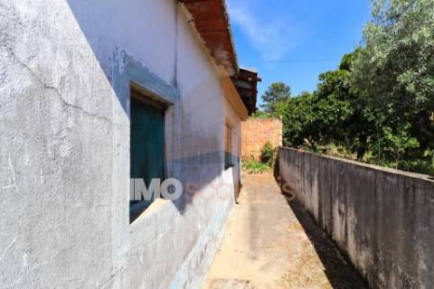 Moradia Térrea T3 – Carregueira 