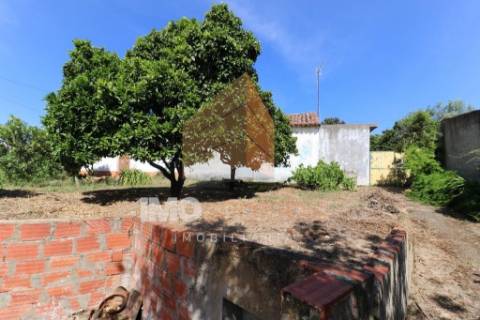 Moradia Térrea T3 – Carregueira 