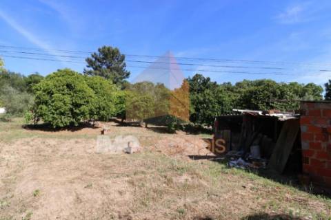 Moradia Térrea T3 – Carregueira 