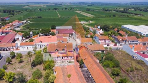 Casa senhorial em Alpiarça