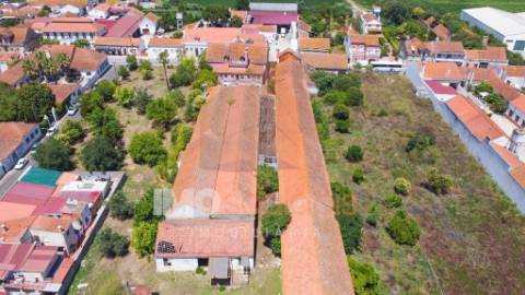Casa senhorial em Alpiarça