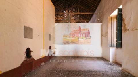 Casa senhorial em Alpiarça