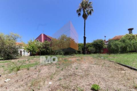 Casa senhorial em Alpiarça