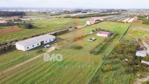 Quinta em Almeirim
