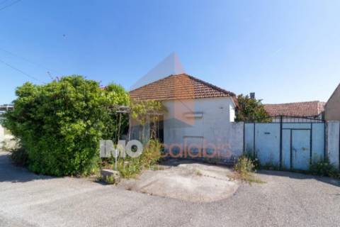 🏡 MORADIA T3 EM LOTE URBANO DE 2600m² – MOITA, PERNES