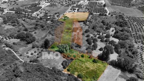 Moradia Térrea em Ruína Parcial c/ Terreno — Excelente Oportunidade a 2 km da A15 