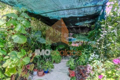 Moradia T5 a 5 minutos do centro histórico de Santarém