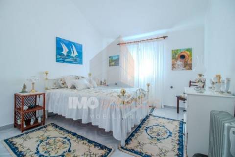 Moradia T5 com Terreno para Cultivo em Abitureiras, Santarém