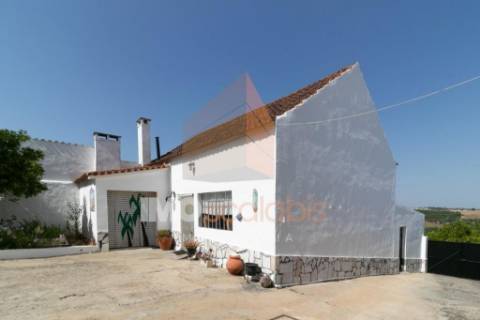 Moradia T5 com Terreno para Cultivo em Abitureiras, Santarém