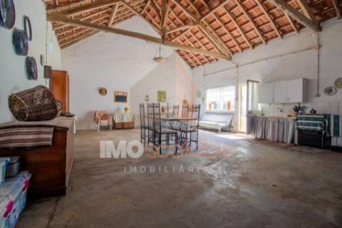 Moradia T5 com Terreno para Cultivo em Abitureiras, Santarém