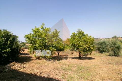 Moradia T5 com Terreno para Cultivo em Abitureiras, Santarém