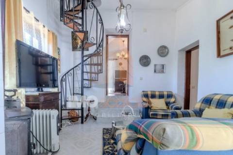 Moradia T5 com Terreno para Cultivo em Abitureiras, Santarém