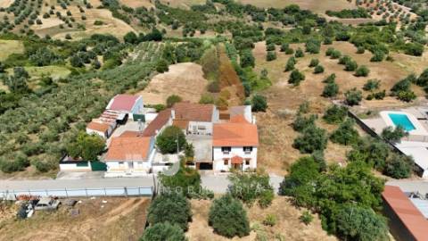 Moradia T5 com Terreno para Cultivo em Abitureiras, Santarém
