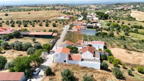Moradia T5 com Terreno para Cultivo em Abitureiras, Santarém