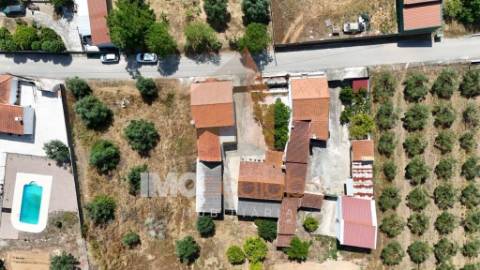 Moradia T5 com Terreno para Cultivo em Abitureiras, Santarém