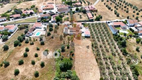 Moradia T5 com Terreno para Cultivo em Abitureiras, Santarém