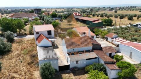 Moradia T5 com Terreno para Cultivo em Abitureiras, Santarém