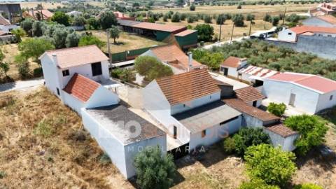 Moradia T5 com Terreno para Cultivo em Abitureiras, Santarém