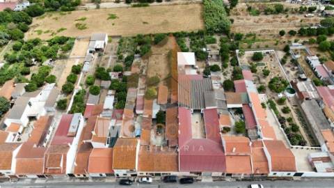 Conjunto 3 Moradias Independentes, Alpiarça – Ideal para Remodelação-Potencial de Rentabilidade