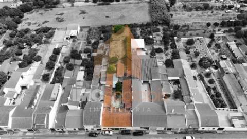 Conjunto 3 Moradias Independentes, Alpiarça – Ideal para Remodelação-Potencial de Rentabilidade