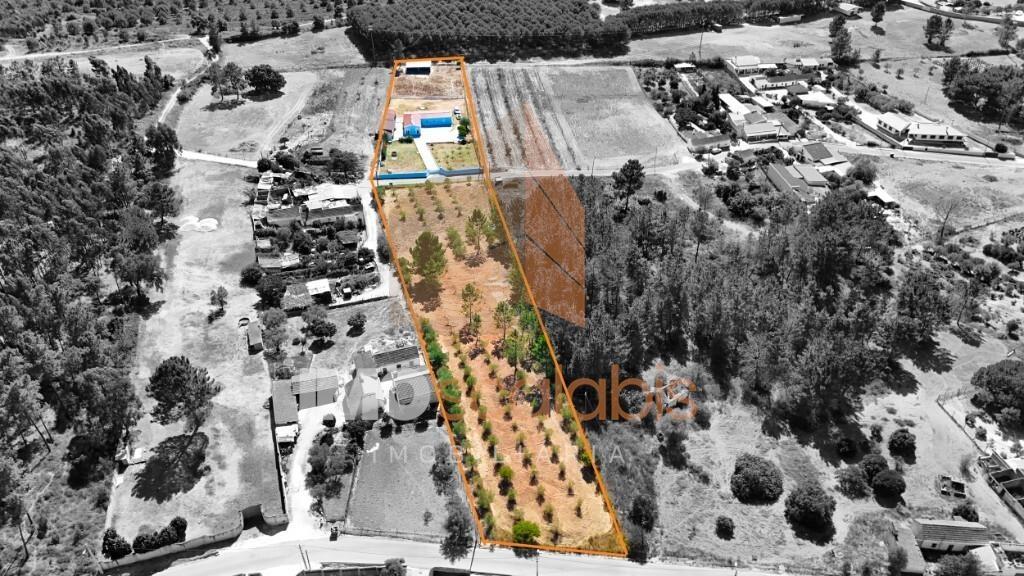 Quinta da Oliveirinha – Um refúgio no coração do Ribatejo
