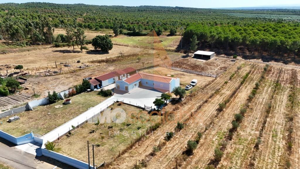 Quinta da Oliveirinha – Um refúgio no coração do Ribatejo