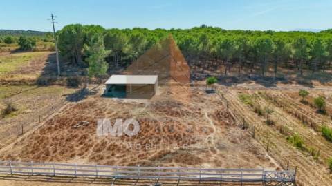 Quinta da Oliveirinha – Um refúgio no coração do Ribatejo