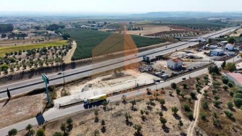 Arrendamento de Terreno Vedado – 4.772 m² – EN3, Póvoa de Santarém