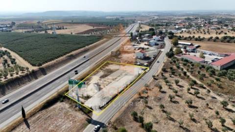 Arrendamento de Terreno Vedado – 4.772 m² – EN3, Póvoa de Santarém